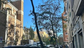 WhatsApp Image 2023-12-14 at 17.37.25.jpeg